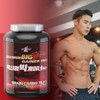 맥시멈 빅게이너 2kg Maximum Big Gainer 2kg