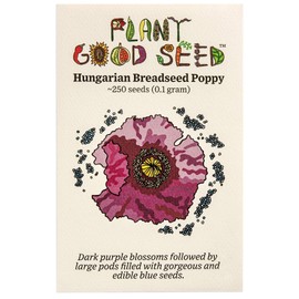 Hungarian Breadseed Poppy (Papaver somniferum) Seeds (~250): Certified Organic, Non-GMO, Heirloom, Open Pollinated Seeds from The United States