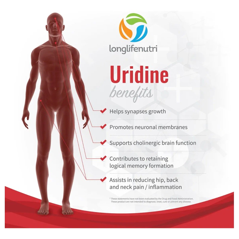 Uridine Monophosphate 300mg - 120 Vegetarian Capsules | Made