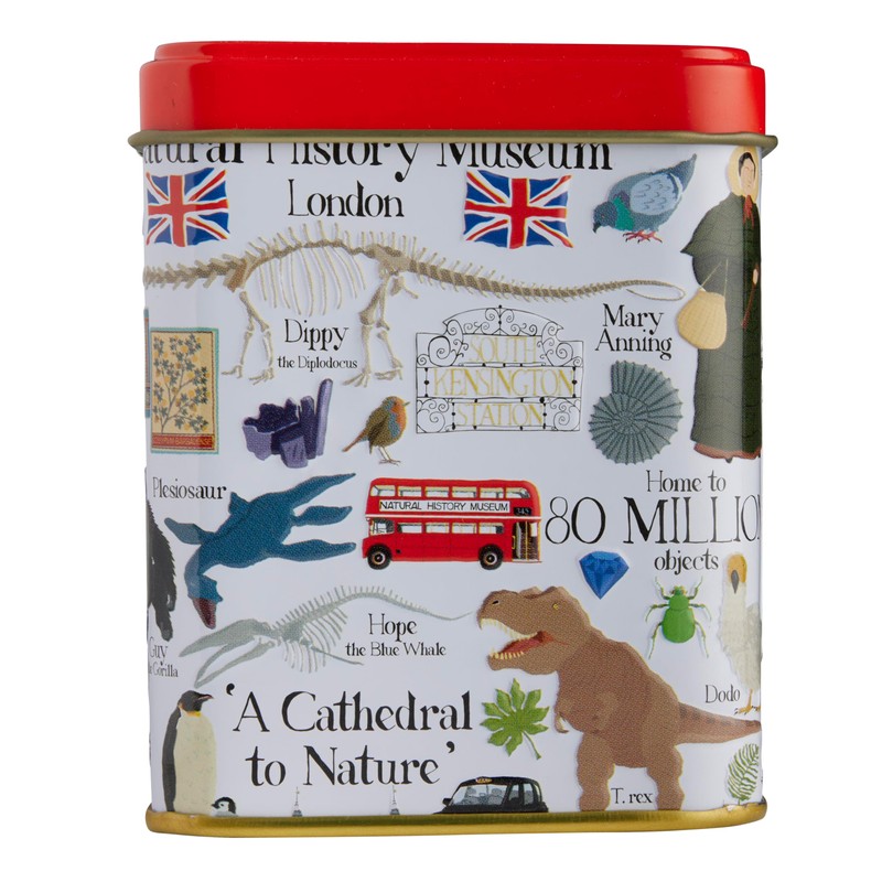 New English Teas Natural History Museum Tea Tin with 40