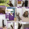 CLAWGUARD Cat Training Tape Strips – 20 Pre-Cut Double-Sided Anti
