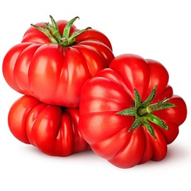 DesertUSA Floradel Tomato Seeds - Solanum lycopersicum - Plant with Confidence - 125+ Heirloom, Non-GMO Seeds for Bountiful Harvests!