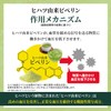 Natural Care Powder Stick (Hipatsu) 0.1 oz (3 g) x