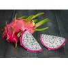 Dragon Fruit Cactus Tree Seeds