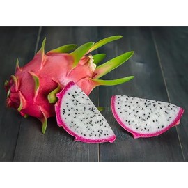 Dragon Fruit Cactus Tree Seeds