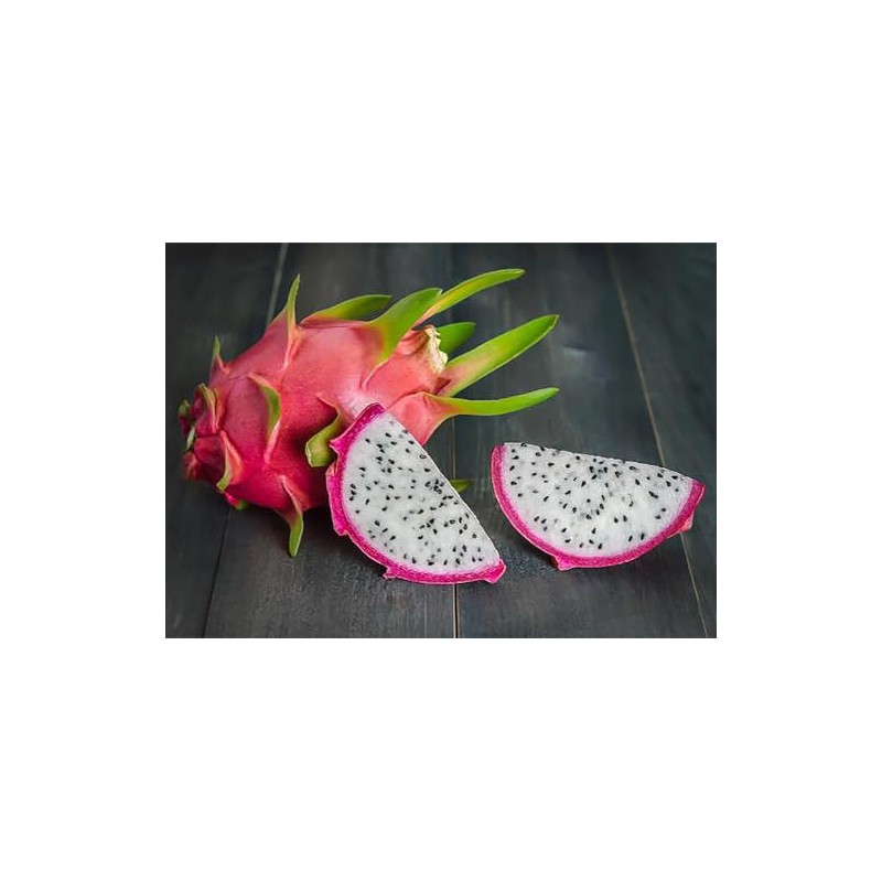 Dragon Fruit Cactus Tree Seeds