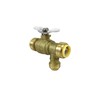 Thermal Expansion Relief Valve For PEX, Copper, and CPVC -