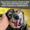 Absorbine Silver Honey Rapid Ear Care Vet Strength Concentrated Doses,