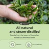 De La Cruz Australian Tea Tree Essential Oil, 100% Pure,