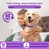 Calming Collar for Dogs, Dog Calming Collar, Fast Acting and