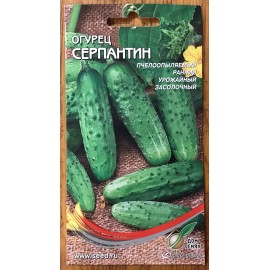 Dom Semyan Russian Cucumber «Serpentine» Heirloom Non GMO Seeds Rare-Огурец Серпантин