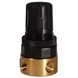 Dixon RB3-02R Wilkerson 1/4" Mini Water Regulator Without Gauge 14-SCFM, Old# R04-02R, Brass
