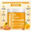 Creatine Monohydrate Gummies, Added 500mg BCAAs and Turmeric Exctract, 4500mg