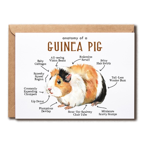Guinea Pig Card - Anatomy Guinea Pig Card - Unique