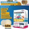 Mold test for your home – Test up to 10