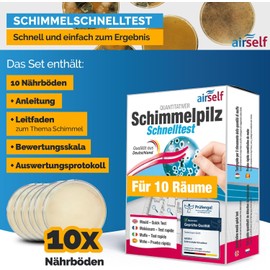 Mold test for your home – Test up to 10 rooms – Rapid mold test to assess mold infestation indoors