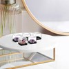 Zerodeko 12pcs Rock & Mineral Collection Box, Transparent Plastic Specimen