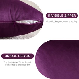 JOTOM Set of 2 Velvet Soft Solid Cushion Covers 30x50 cm Decorative Throw Pillow Covers Soft Lumbar Cushion Case Couch Home Decor Throw Pillow Cases for Sofa Bedroom 12x20 Inch (Eggplant Purple)