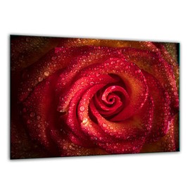 TMK, Glass Chopping Board 30 x 22 cm with Flowers Rose Design Chopping Board Hob Cover Plate Decorative Glass