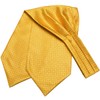 Hi-Tie Silk Ascot for Men Self Tie Men's Yellow Cravat