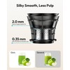 Juicer Machines, EUHOMY 5.8" Wide Feed Chute Cold Press Juicer