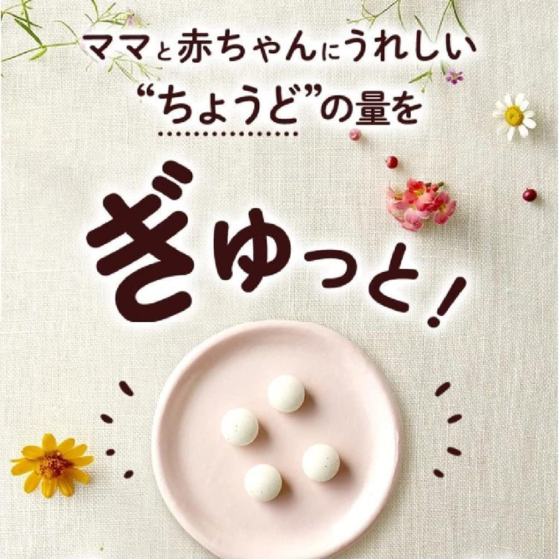 ファンケル (FANCL) Mama Lula 葉酸 & 鉄プラス 60日分 (30日分×2袋) サプリメント