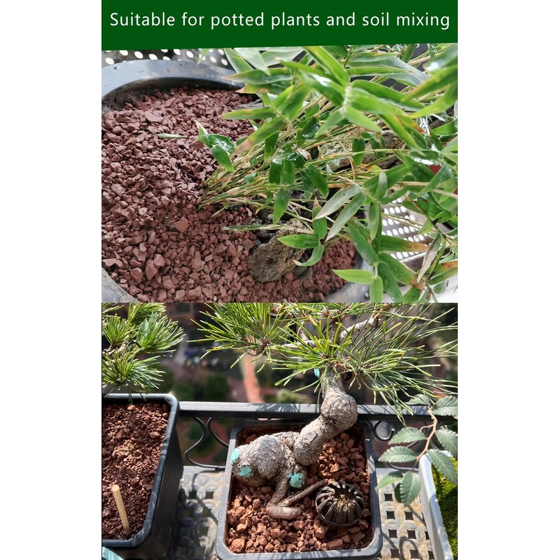 Horticultural Calcined Clay Soil Bonsai Cactus Soil Additive for Succulent