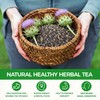 WOTIHA 60 Count Premium Milk Thistle Tea Bags - 100%