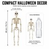 2 Pcs Posable Halloween Skeleton for Spooky Decorating – 15.7-Inch