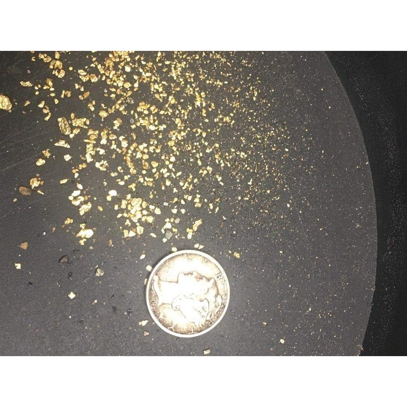 Gold Paydirt 2 LB from Colorado - Unsearched Gold Paydirt