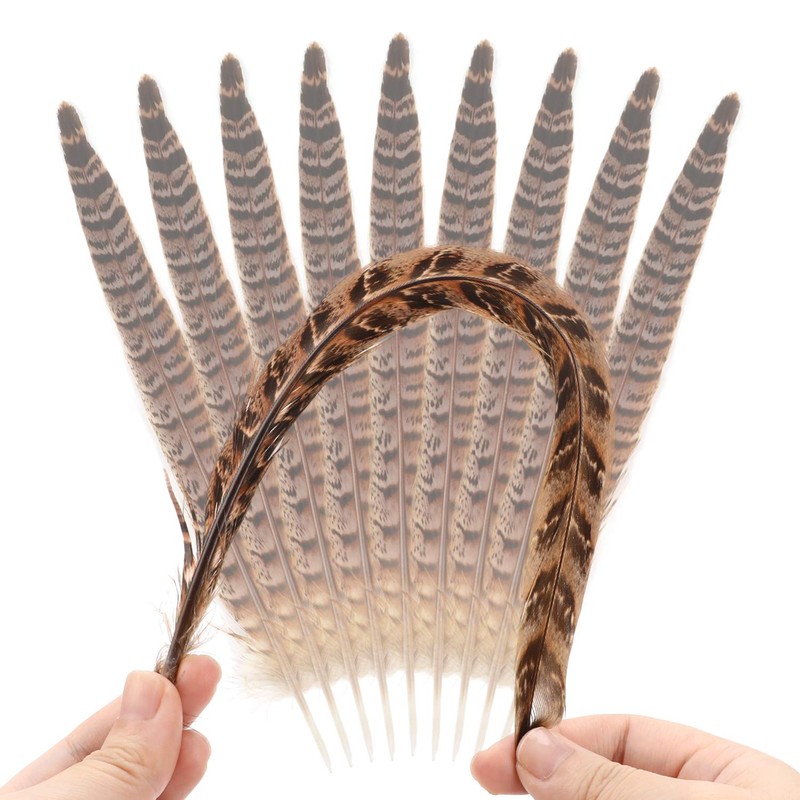 MWOOT Pack of 20 Pheasant Feathers, 25-30 cm / 10-12