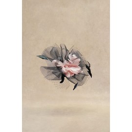 BABEYOND Fascinator Hat Veil Feather Fascinators Hair Clip Tea Party Pillbox Derby Bridal Wedding Veil