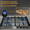 GRLP4 LP Conversion Kit | Propane Orifice | Gas To