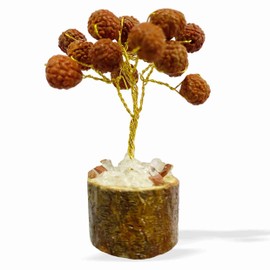Home Genie Rudraksha Gemstone Money Tree | Pack of 1 | Spiritual Energy Tree for Prosperity, Positive Energy, and Home Decor