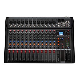 Depensheng DX12 DJ Sound Controller Interface w/ USB Drive for Computer Recording 12-Channel Studio Audio Mixer - XLR Microphone Jack, 48V Power, RCA Input/Output for Professional and Beginners