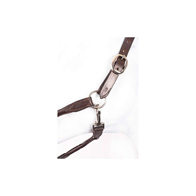 RL24 HKM by Reiterladen24 Basic Line Leather Headcollar Round Stitched