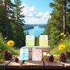 4 Boxes Paper Soap 4 Random Different Fragrances Mini Petal