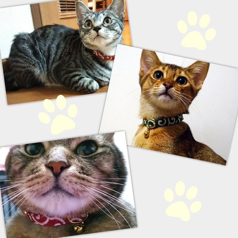 Cat Miscellaneous Goods, Good Fortune, Made in Japan, Cat Kitten,