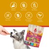 PLATO Grain Free Turkey Meat Bars Soft Dog Treats for