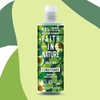 Faith In Nature Avocado Conditioner 400ml