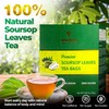 VINAREEN Soursop Leaves, 50 Count – Sugar-Free, Caffeine-Free, Gluten-Free Sour