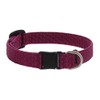 Breakaway Cat Collar by Lupine ECO Collection 1/2" Wide Berry
