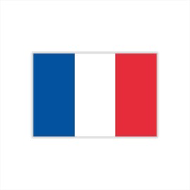 Womaha 30 Sheets France Flag Temporary Tattoos for Kids Adults Fans Fake Face Tattoo Stickers