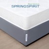 SPRINGSPIRIT Alternates for Bed Skirt Queen, Box Spring Cover Queen