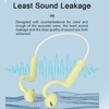 Open Ear Headphones Wireless Bluetooth 5.3 IPX4 Waterproof Stereo Open