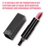 10pcs Empty Lipstick Tube Portable Elegant Lip Gloss Container DIY