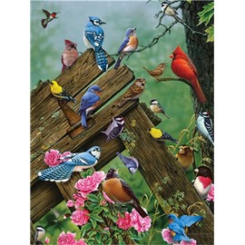 Meecaa Paint by Numbers Bird Flower Jungle Kit for Adults Beginner DIY Oil Painting 16x20 inch (Bird, No Frame)