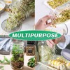 Kikerike Seed Sprouting Jar Kit with 2 Wide Mouth Mason