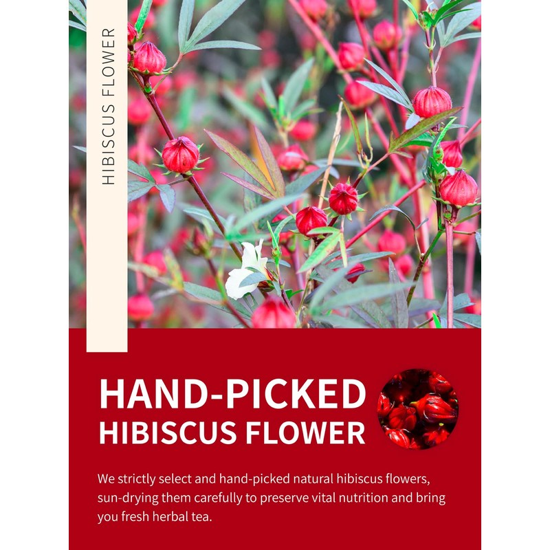 TeeLux Hibiscus Tea Loose Leaf, Dried Hibiscus Flowers Herbal Tea,