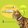 KIPPY - Cat GPS Tracker Kippy CAT COLOR - Locator